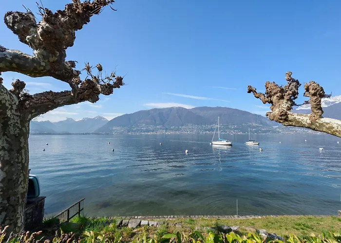 Garden On The 1 - Happy * Gambarogno